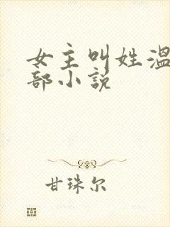 女主叫姓温的全部小说封面