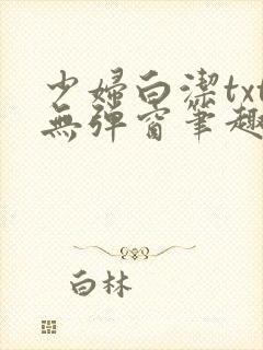 少妇白洁txt无弹窗笔趣阁