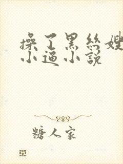 操了黑丝嫂子的小逼小说