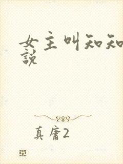 女主叫知知的小说