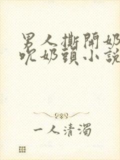 男人撕开奶罩揉吮奶头小说