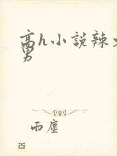 高h小说辣文男男