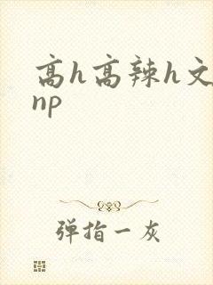 高h高辣h文乱np
