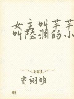 女主叫芊芊男主叫陆渊的小说