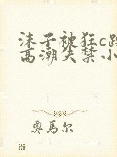 沫子被狂c躁到高潮失禁小说