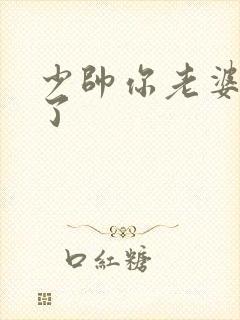 少帅你老婆又跑了