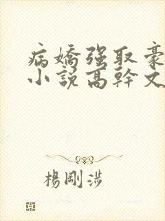 病娇强取豪夺的小说高干文