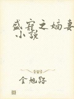 盛宠之嫡妻再嫁 小说