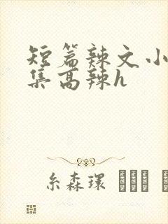 短篇辣文小说合集高辣h