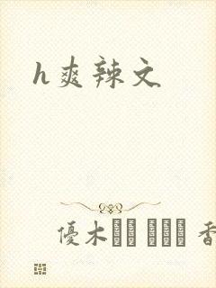 h爽辣文