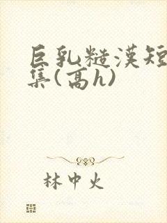 巨乳糙汉短篇合集(高h)封面