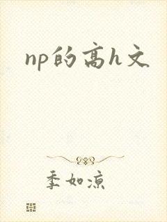 np的高h文
