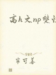 高h文np双性封面
