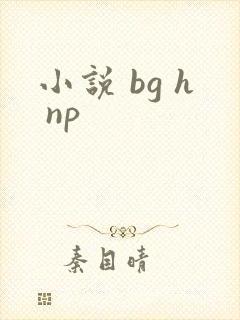 小说 bg h np