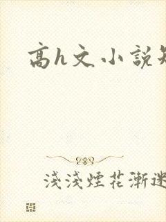 高h文小说短篇