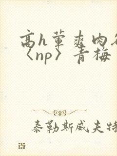 高h荤爽肉欲文〈np〉青梅