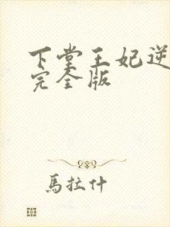 下堂王妃逆袭记完全版