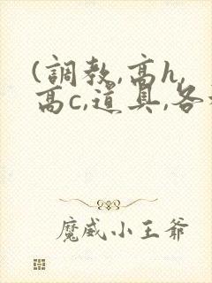 (调教,高h,高c,道具,各种play)封面