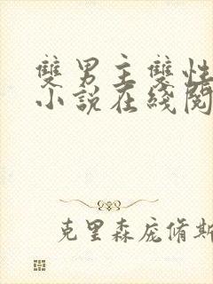 双男主双性高h小说在线阅读封面