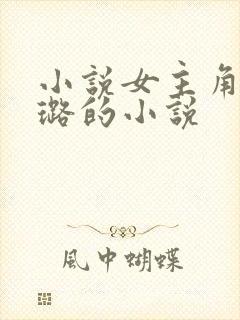 小说女主角林璐璐的小说