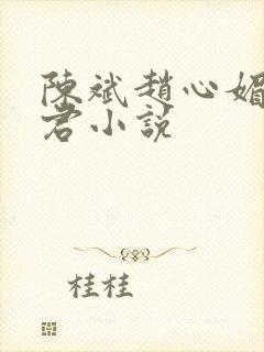 陈斌赵心媚高婉君小说