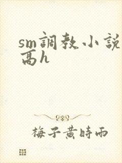 sm调教小说 高h
