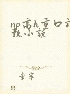 np高h重口调教小说
