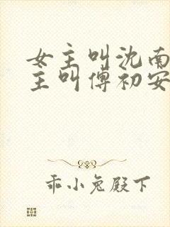 女主叫沈南雾男主叫傅初安