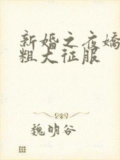 新婚之夜娇妻被粗大征服