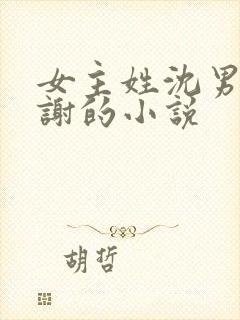 女主姓沈男主姓谢的小说