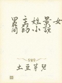 男主姓景女主姓简的小说