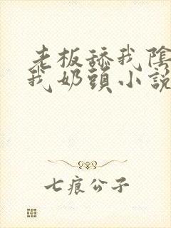 老板舔我阴部揉我奶头小说封面