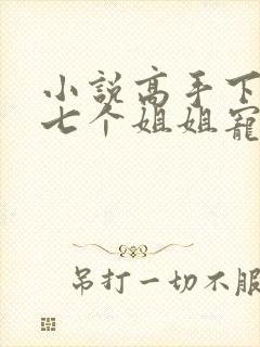 小说高手下山被七个姐姐宠上天免费