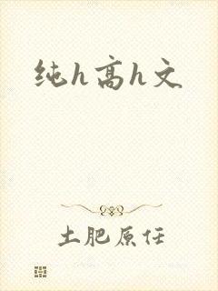 纯h高h文