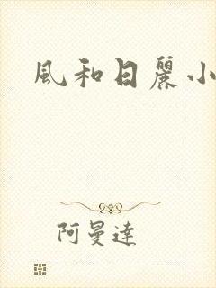 风和日丽小说