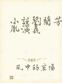 小说刘兰芳赵匡胤演义