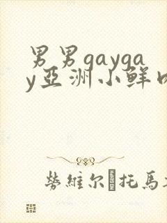 男男gaygay亚洲小鲜肉网站