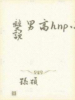 双男高hnp小说