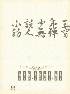 小说少年王抚琴的人无弹窗无广告