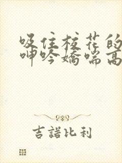 吸住校花的奶头呻吟娇喘高潮封面