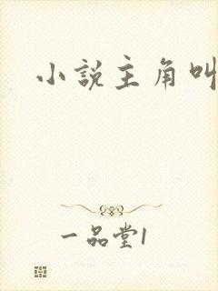 小说主角叫林天