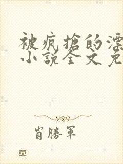 被疯抢的漂亮攻小说全文免费阅读无弹窗