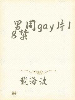 男同gay片18禁