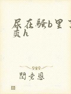 尿在骚b里了好爽h封面