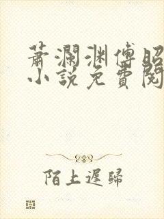 萧澜渊傅昭宁的小说免费阅读封面