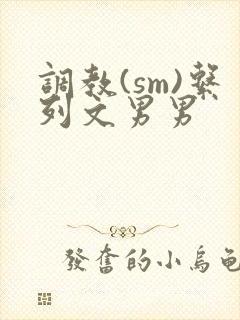 调教(sm)系列文男男封面
