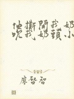 他撕开我奶罩揉吮我奶头小说