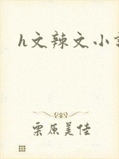 h文辣文小说网