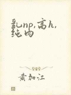 乱np,高h,纯肉