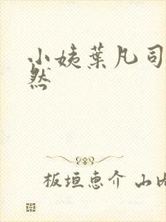 小姨叶凡司空嫣然